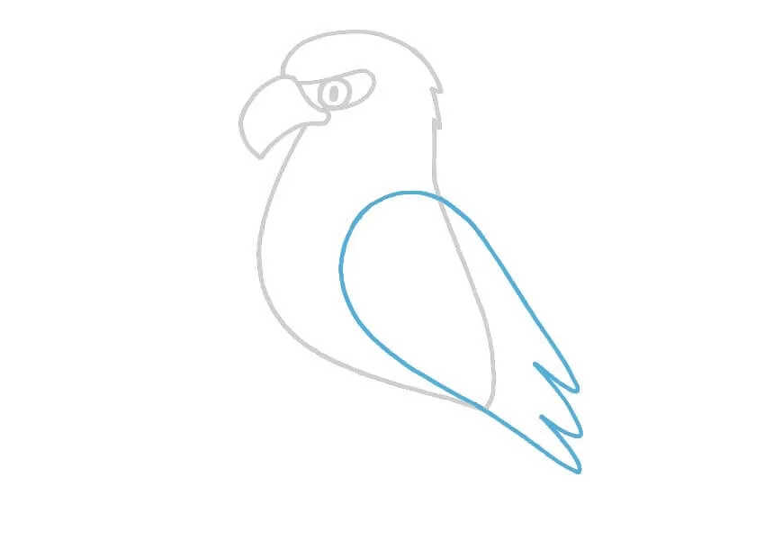 Dibujos de Águila - Cómo dibujar Águila paso a paso Dibujos de Águila - Cómo dibujar Águila paso a paso
