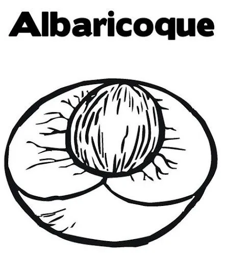 DIBUJOS DE ALBARICOQUES, AJOS, ALCACHOFAS PARA COLOREAR DIBUJOS DE ALBARICOQUES, AJOS, ALCACHOFAS PARA COLOREAR