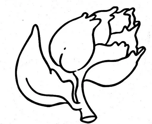 DIBUJOS DE ALBARICOQUES, AJOS, ALCACHOFAS PARA COLOREAR DIBUJOS DE ALBARICOQUES, AJOS, ALCACHOFAS PARA COLOREAR