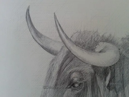 Dibujos Alfonso Gómez: Toro. 30x42 cms. Boli bic No disponible Dibujos Alfonso Gómez: Toro. 30x42 cms. Boli bic No disponible