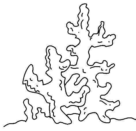 Dibujos para colorear de Algas marinas, Plantillas para colorear ... Dibujos para colorear de Algas marinas, Plantillas para colorear ...