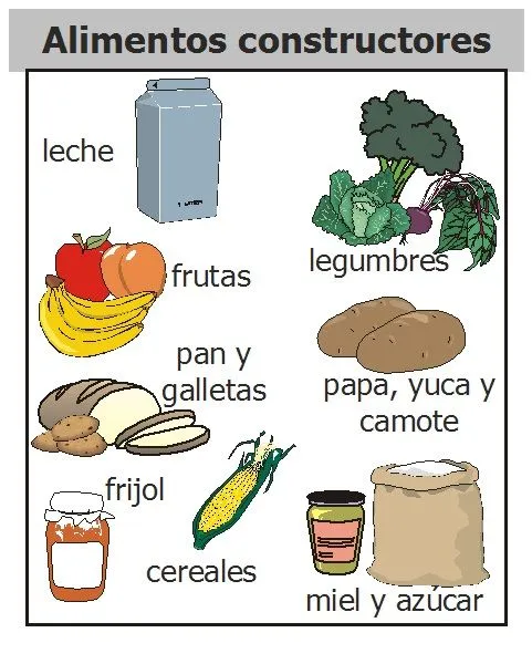 Imajenes de los alimentos constructores - Imagui Imajenes de los alimentos constructores - Imagui