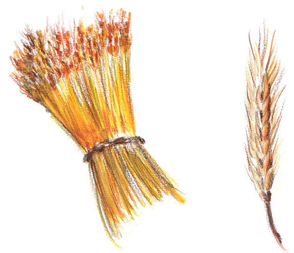 dibujos de alimentos para imprimir-Imagenes y dibujos para imprimir