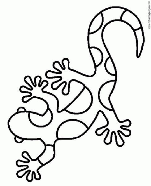dibujo-de-salamandra-003 | Dibujos y juegos, para pintar y colorear