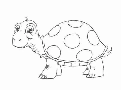 Dibujos de anfibios y reptiles para colorear - Imagui Dibujos de anfibios y reptiles para colorear - Imagui
