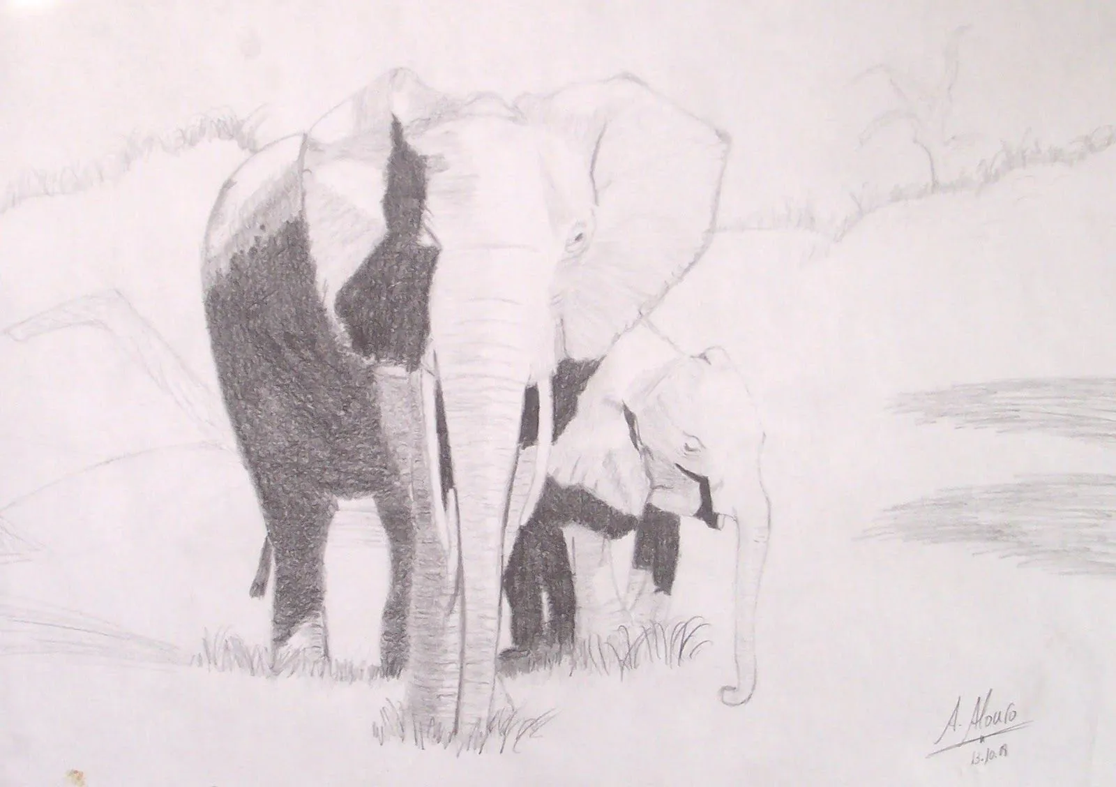 Dibujos Ángel Alonso: Elefante con su cria