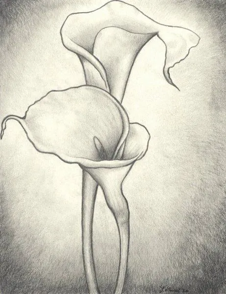 dibujos animados de calas - Buscar con Google | Flor | Pinterest dibujos animados de calas - Buscar con Google | Flor | Pinterest