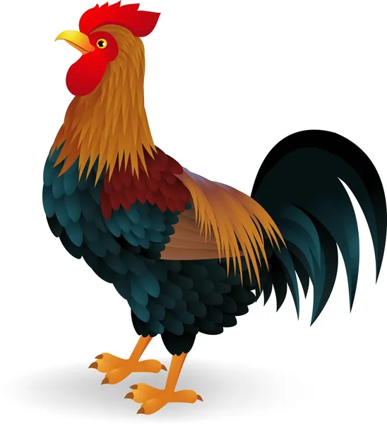 Dibujos animados de gallo — Vector stock © idesign2000 #11222271 Dibujos animados de gallo — Vector stock © idesign2000 #11222271