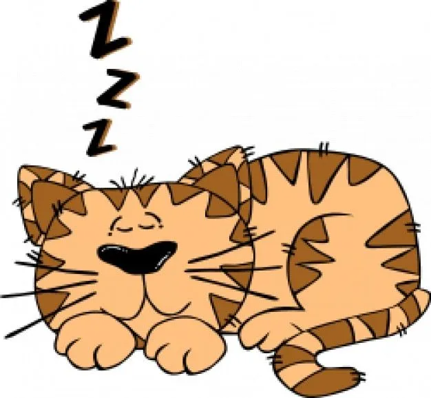 de dibujos animados del gato durmiendo | Descargar Vectores gratis