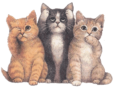 Dibujos animados de Gatos, Gifs de Gatos