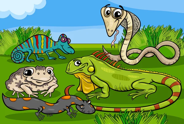 Dibujos animados de grupo de reptiles y anfibios — Vector stock ...