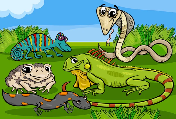 Dibujos animados de grupo de reptiles y anfibios — Vector stock ... Dibujos animados de grupo de reptiles y anfibios — Vector stock ...