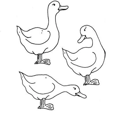 ... de Patos. Dibujo para colorear de Patos. Dibujos infantiles de Patos ... de Patos. Dibujo para colorear de Patos. Dibujos infantiles de Patos