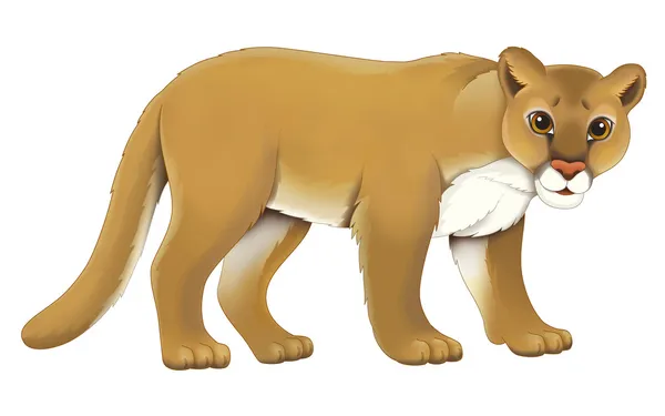 Dibujos animados puma — Foto stock © agaes8080 #40616553 Dibujos animados puma — Foto stock © agaes8080 #40616553
