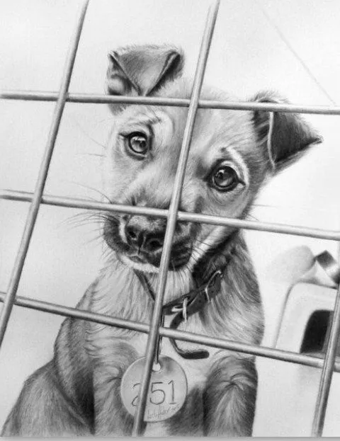Perro tierno dibujo a lapiz - Imagui