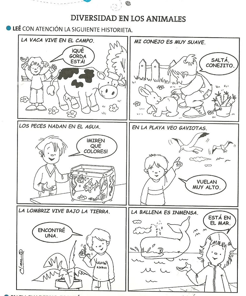 Dibujos de animales carnivoros herbivoros y omnivoros para ...