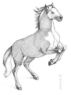 Dibujos: animales | Colorín...