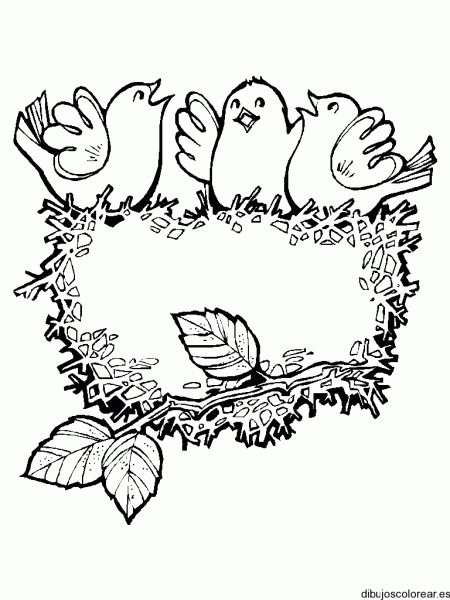 Dibujos para colorear de arboles con pajaros - Imagui