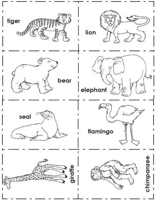 Dibujos de animales para colorear en ingles - Imagui