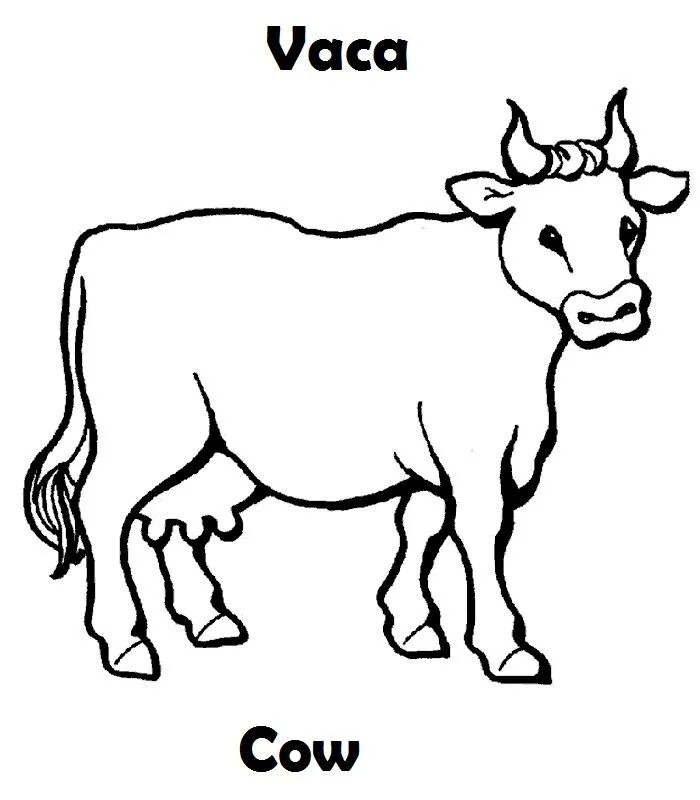Dibujos Animales Domesticos Ingles