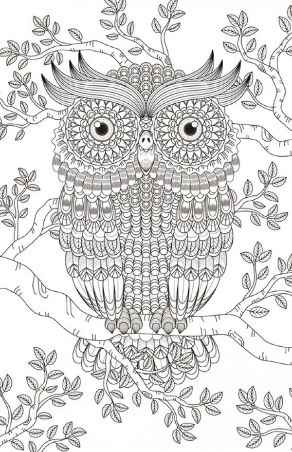 Dibujos de animales para enseñar a respetar la naturaleza | eAcnur Dibujos de animales para enseñar a respetar la naturaleza | eAcnur