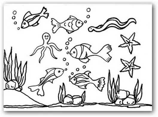 Dibujos de animales del fondo del mar | Imagenes Para Compartir Dibujos de animales del fondo del mar | Imagenes Para Compartir