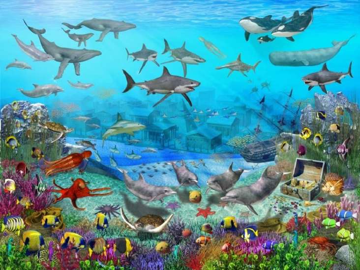 Dibujos del nino y la mar - Imagui