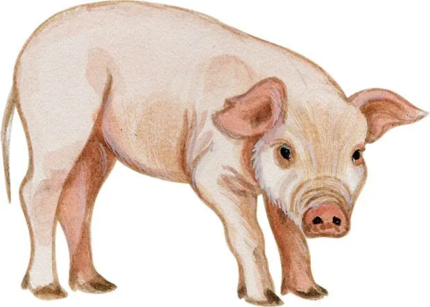 Dibujos animales granja para imprimir-Imagenes y dibujos para imprimir Dibujos animales granja para imprimir-Imagenes y dibujos para imprimir