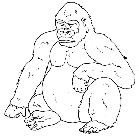 Dibujos de animales omnivoros para colorear - Imagui Dibujos de animales omnivoros para colorear - Imagui