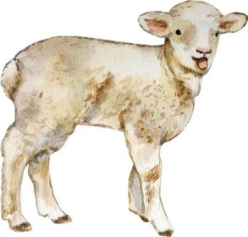 carnero en dibujos dibujos de animales de granja para imprimir carnero en dibujos dibujos de animales de granja para imprimir