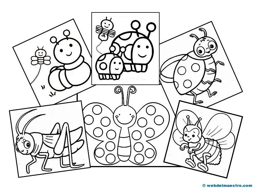 Dibujos de animales (Insectos) - Web del maestro Dibujos de animales (Insectos) - Web del maestro