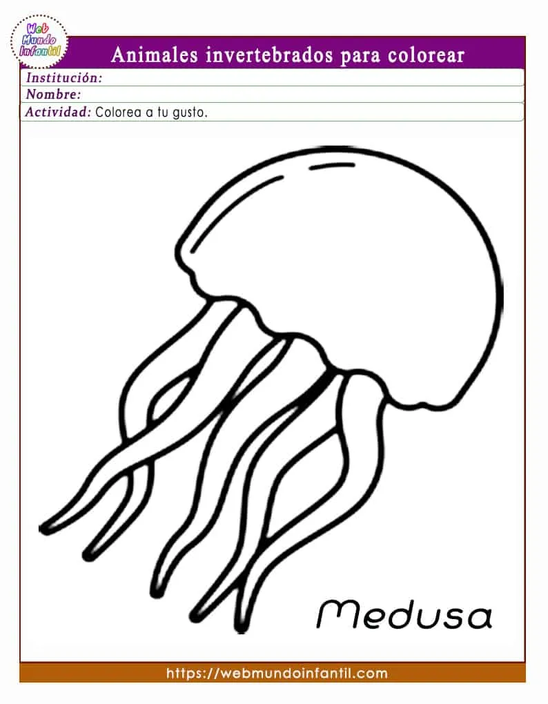 Dibujos de animales invertebrados para colorear e imprimir