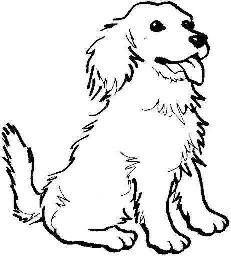 Dibujos De Animales Mamiferos Para Colorear Pictures Dibujos De Animales Mamiferos Para Colorear Pictures