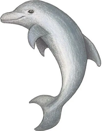 Delfin en dibujo coloreado