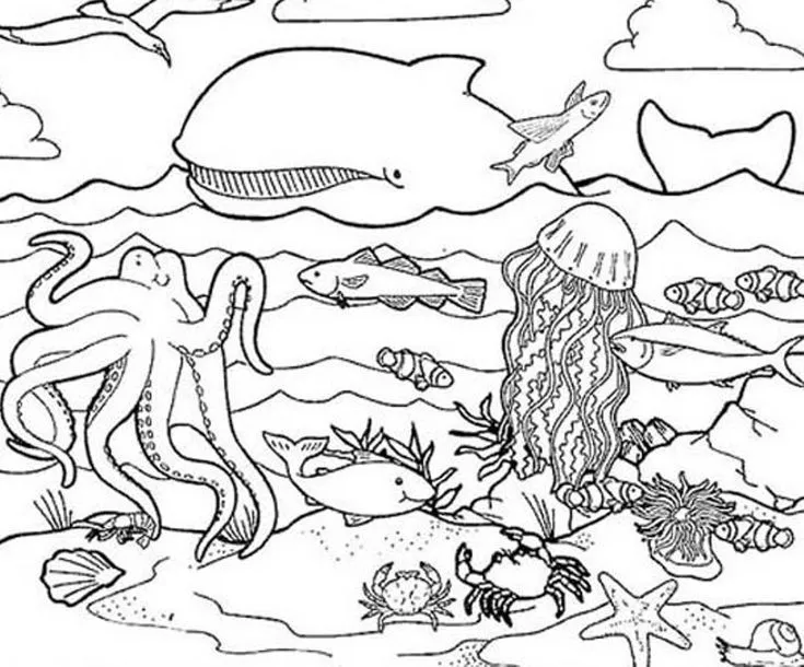 Dibujos de animales marimos para colorear, pintar, imprimir ... Dibujos de animales marimos para colorear, pintar, imprimir ...