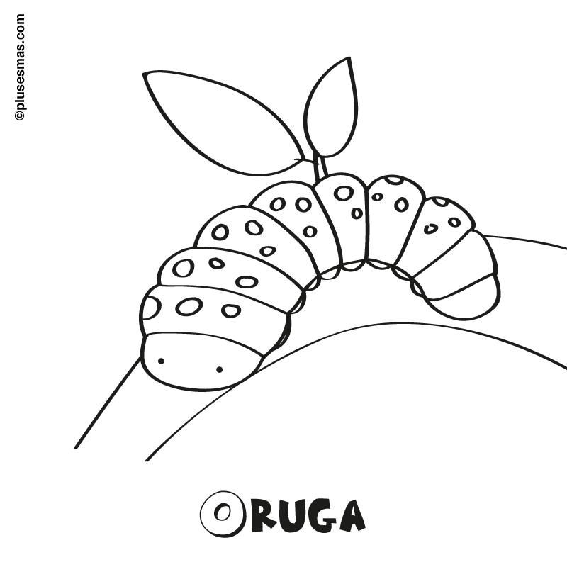 Colorear una oruga. Colorear con niños. Ocio en casa. Plusesmas.com Colorear una oruga. Colorear con niños. Ocio en casa. Plusesmas.com