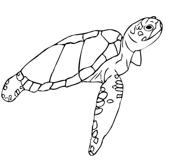 Dibujos de animales en peligro de extincion para colorear - Imagui Dibujos de animales en peligro de extincion para colorear - Imagui