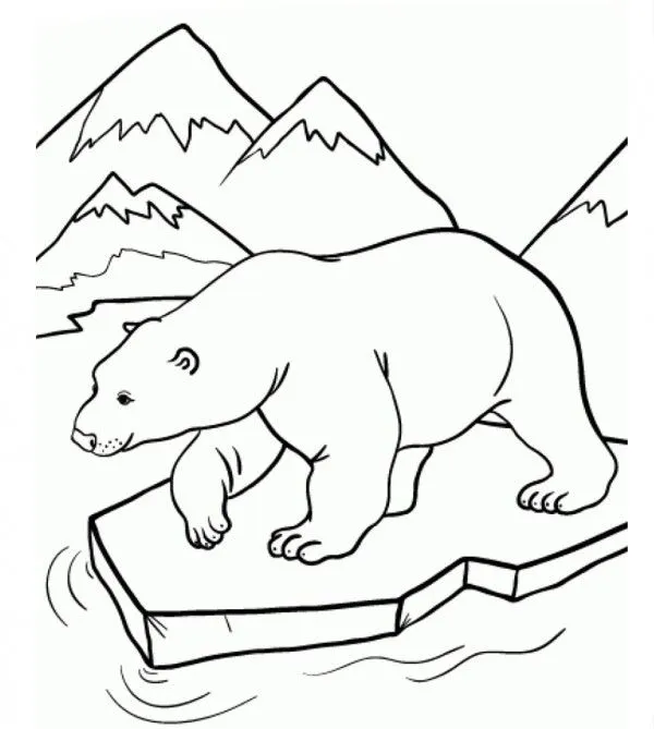 Dibujos de animales en peligro de extinción para colorear, descargar e imprimir | Colorear imágenes