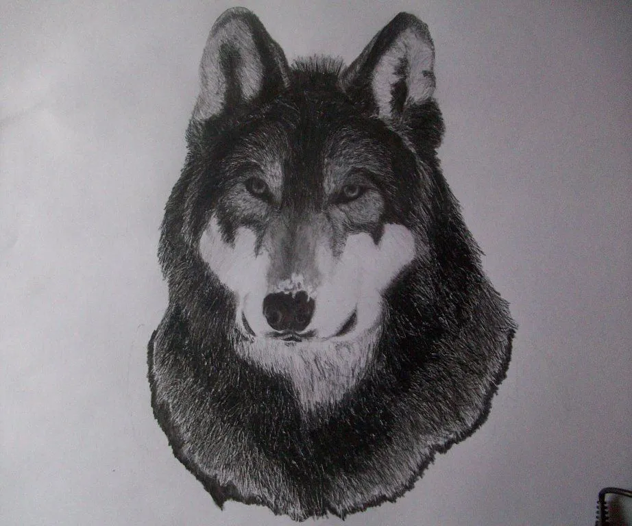 Dibujos de animales (perro y lobo) | Cuidar de tu perro es facilisimo. Dibujos de animales (perro y lobo) | Cuidar de tu perro es facilisimo.