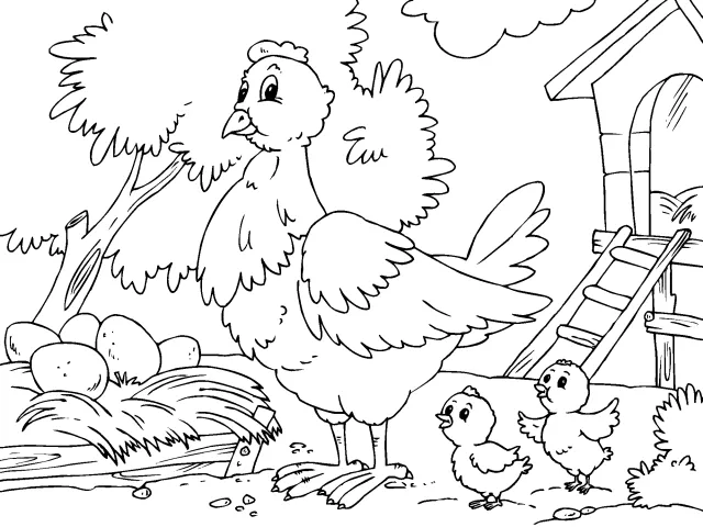 Dibujo de gallina con sus pollitos para colorear - Imagui Dibujo de gallina con sus pollitos para colorear - Imagui