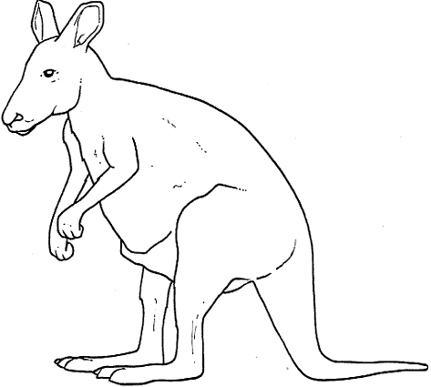 Dibujos de animales que saltan para colorear - Imagui Dibujos de animales que saltan para colorear - Imagui