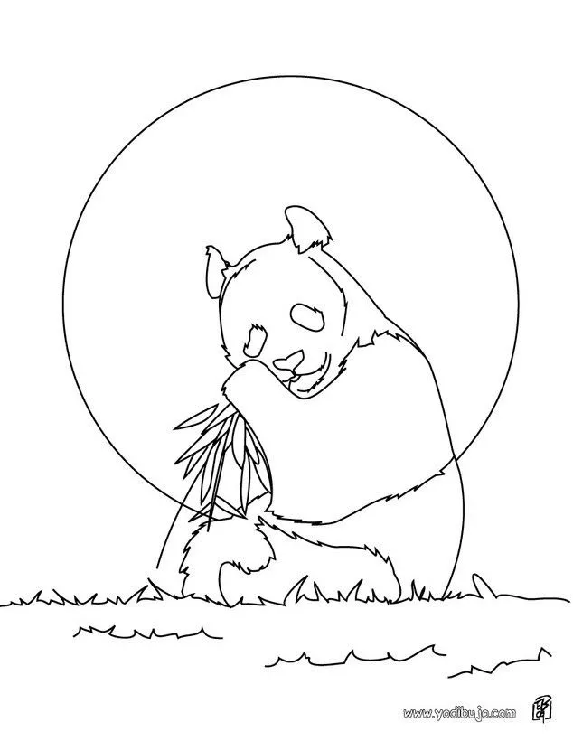 Dibujos ANIMALES SALVAJES para colorear, Oso Panda Gigante para ...