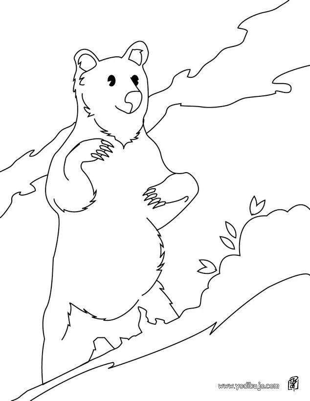 Dibujos ANIMALES DE LA SELVA para colorear, OSO DE PIE para imprimir Dibujos ANIMALES DE LA SELVA para colorear, OSO DE PIE para imprimir