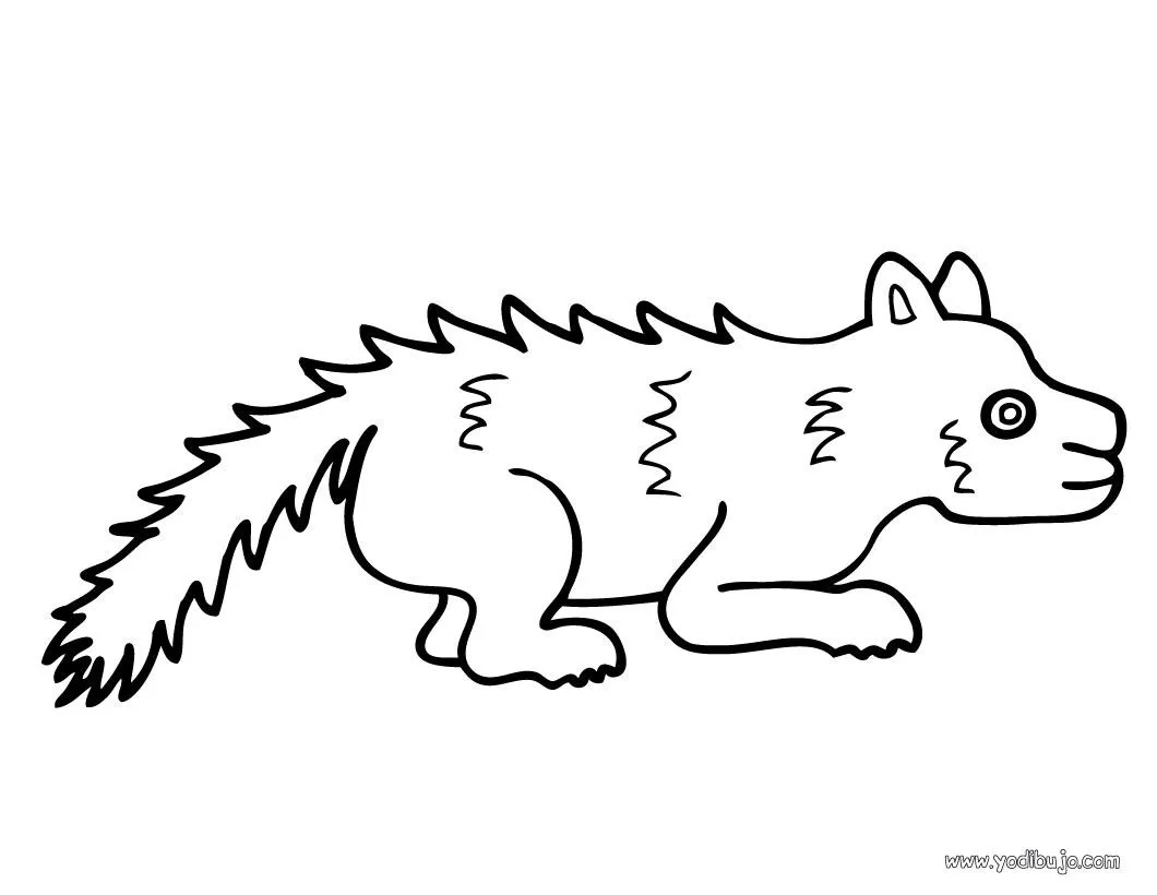 Dibujos ANIMALES DE LA SELVA para colorear, un zorrillo para imprimir Dibujos ANIMALES DE LA SELVA para colorear, un zorrillo para imprimir