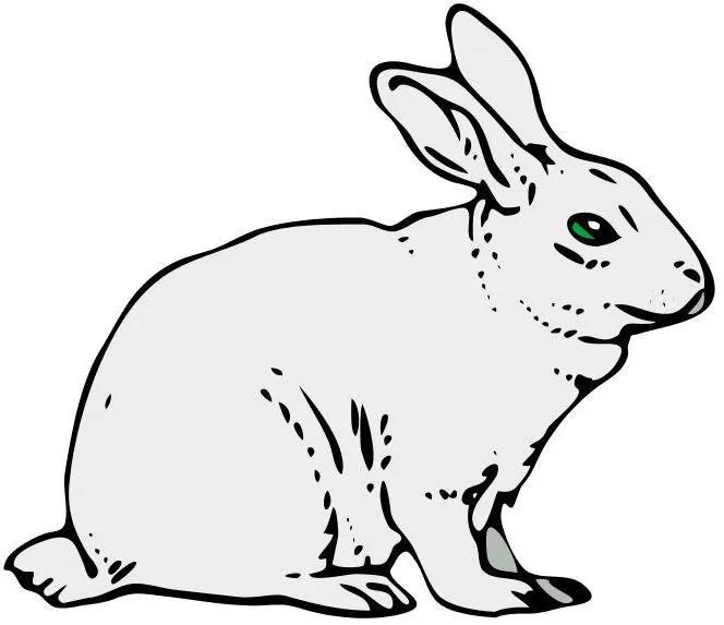 Animales de la sierra para dibujar - Imagui