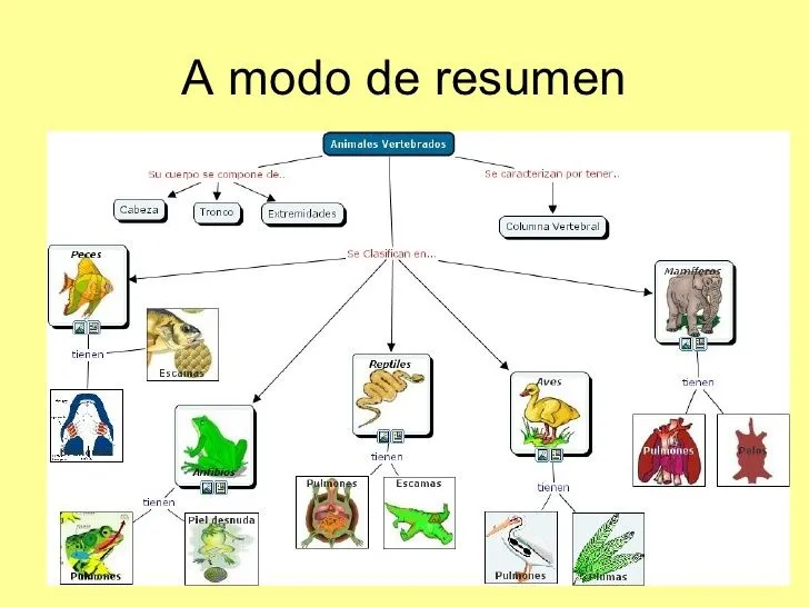 Dibujos de animales terrestres, acuáticos y aereos - Imagui Dibujos de animales terrestres, acuáticos y aereos - Imagui