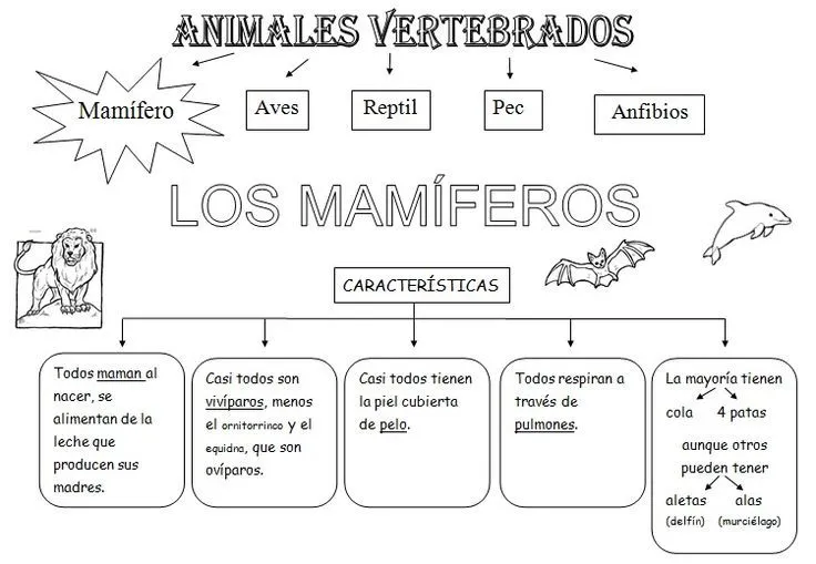 Dibujos de animales vertebrados e invertebrados para colorear ... Dibujos de animales vertebrados e invertebrados para colorear ...