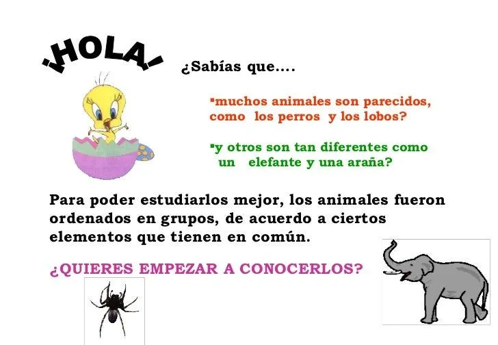 Dibujos animales vertebrados e invertebrados - Imagui