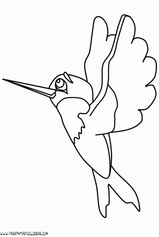 Dibujos de animales voladores para colorear - Imagui