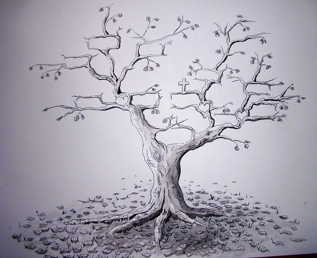 Arboles de tinta china - Imagui